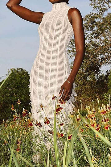 Fringe Mesh Mock Neck Midi Dress